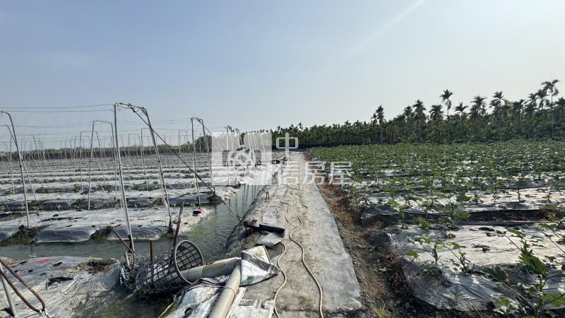 屏東土地《大春近一甲農地建地》房屋室內格局與周邊環境