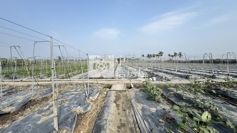 屏東土地《大春近一甲農地建地》房屋室內格局與周邊環境