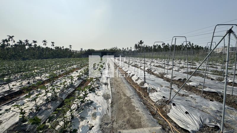 屏東土地《大春近一甲農地建地》房屋室內格局與周邊環境