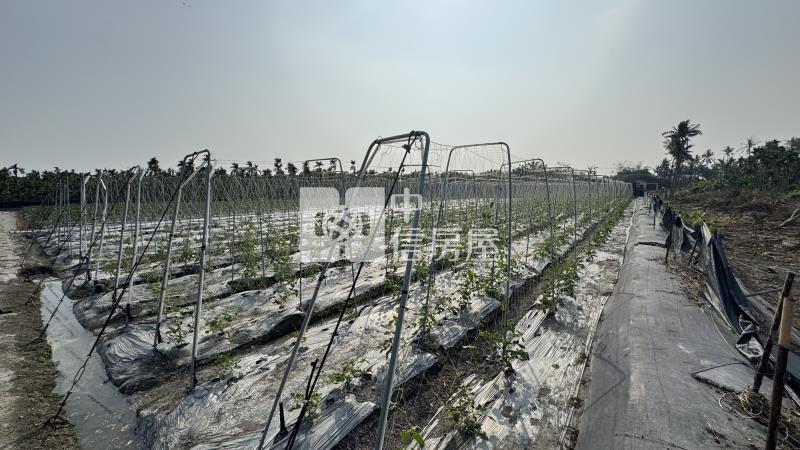 屏東土地《大春近一甲農地建地》房屋室內格局與周邊環境