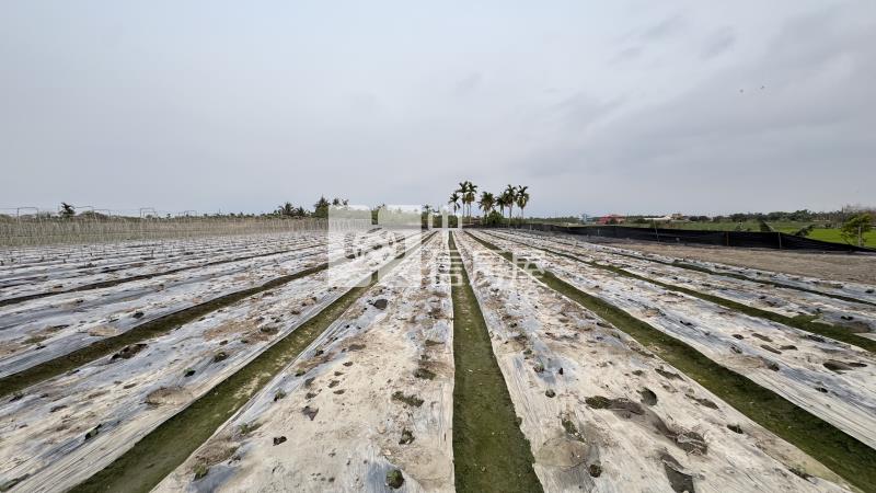 屏東土地《大春近一甲農地建地》房屋室內格局與周邊環境