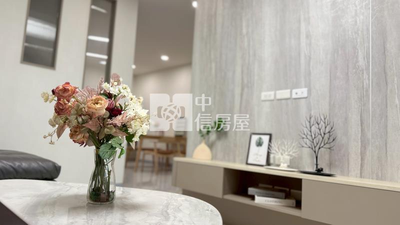 中庄田字型別墅 ★影音空拍在中信嘉義玉山店房屋室內格局與周邊環境