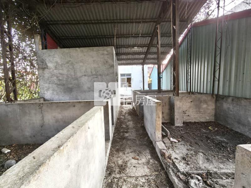 富田雙語國小建地.買地送屋*專約*房屋室內格局與周邊環境