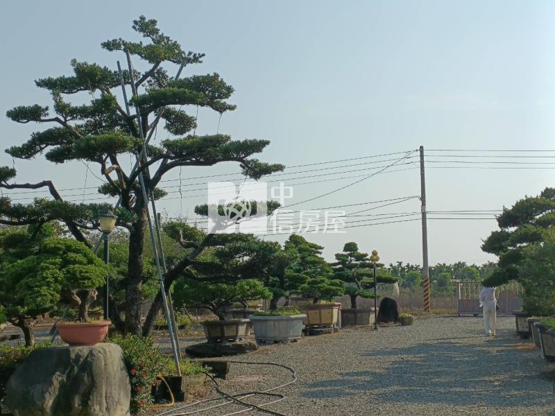 內埔雅緻美樹莊園房屋室內格局與周邊環境