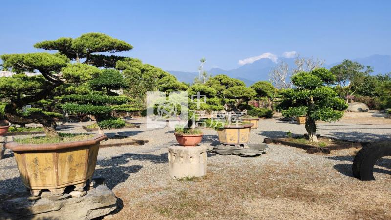 內埔雅緻美樹莊園房屋室內格局與周邊環境