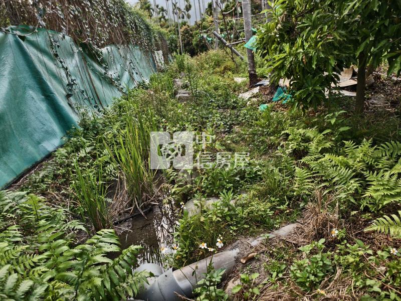 國姓都內農地房屋室內格局與周邊環境