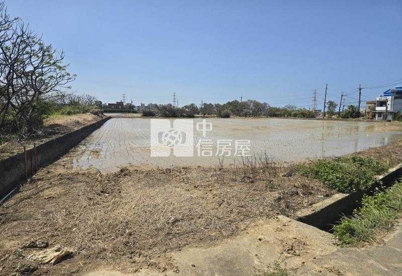 觀音66【保興路旁】正10米路角地農地484坪(一)房屋室內格局與周邊環境