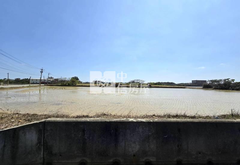 觀音66【保興路旁】正10米路農地378坪(三)房屋室內格局與周邊環境
