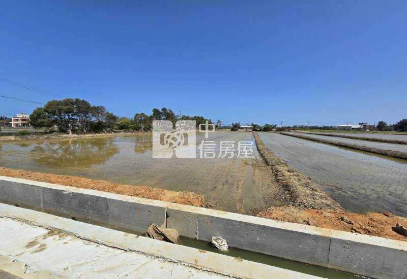 觀音66【茄苳坑】農地228坪(二)房屋室內格局與周邊環境