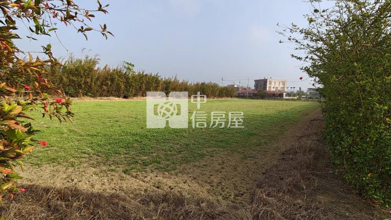 【安家】楊梅楊富段臨6米路美農地(一)房屋室內格局與周邊環境