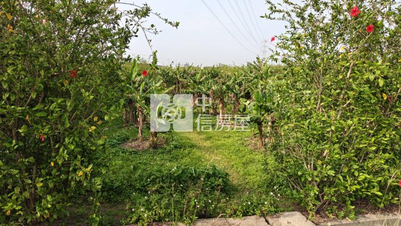 【安家】楊梅楊富段雙面臨路美農地(二)房屋室內格局與周邊環境