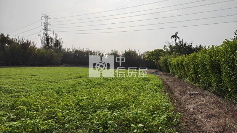 【安家】楊梅楊富段雙面臨路美農地(二)房屋室內格局與周邊環境