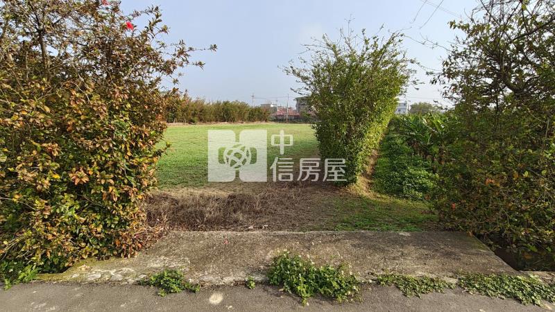 【安家】楊梅楊富段雙面臨路美農地(二)房屋室內格局與周邊環境