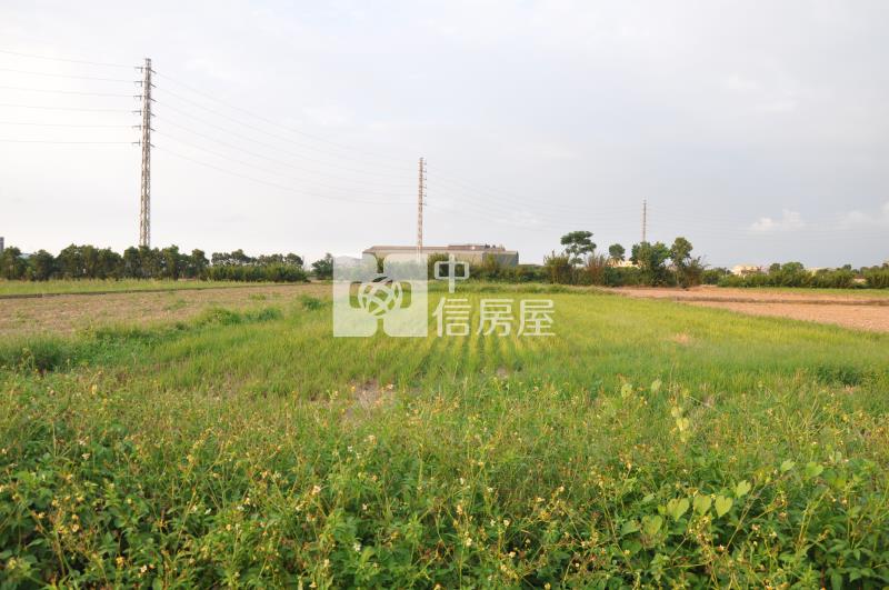 【新世紀】新屋市區美農地房屋室內格局與周邊環境