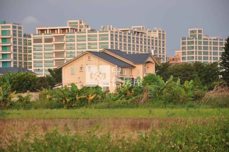 【新世紀】新屋市區美農地房屋室內格局與周邊環境