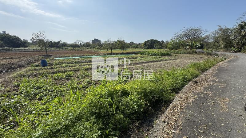 【新世紀】近蓮園小坪數低總價農地房屋室內格局與周邊環境