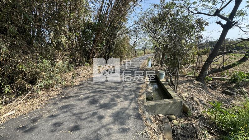 【新世紀】近蓮園小坪數低總價農地房屋室內格局與周邊環境