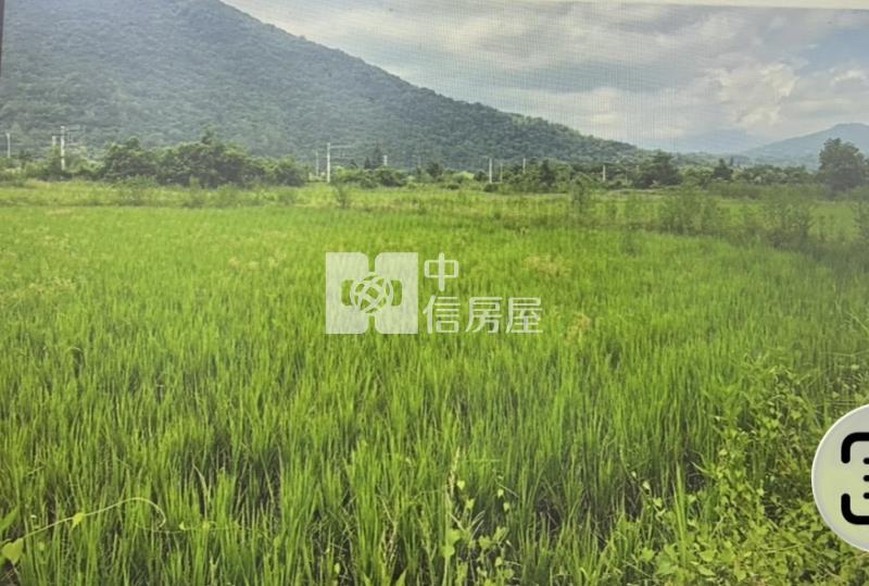 專約花蓮近豐田車站方正農地