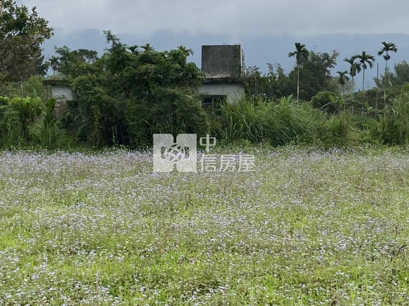 專約花蓮近豐田車站方正農地房屋室內格局與周邊環境