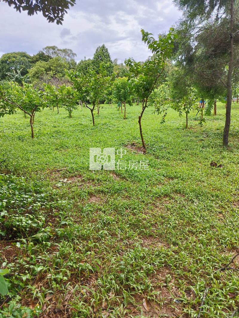 龍潭正高楊北路低總價一般農房屋室內格局與周邊環境