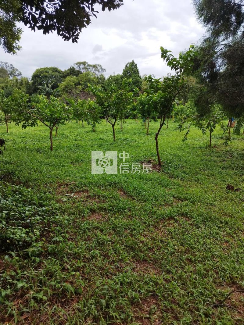 龍潭正高楊北路低總價一般農房屋室內格局與周邊環境