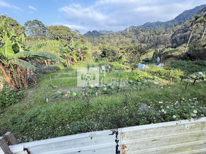 近大溪三層福安宮農地-2房屋室內格局與周邊環境