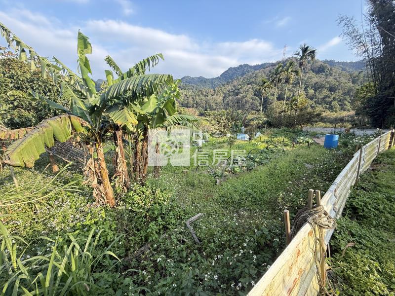 近大溪三層福安宮農地-2房屋室內格局與周邊環境