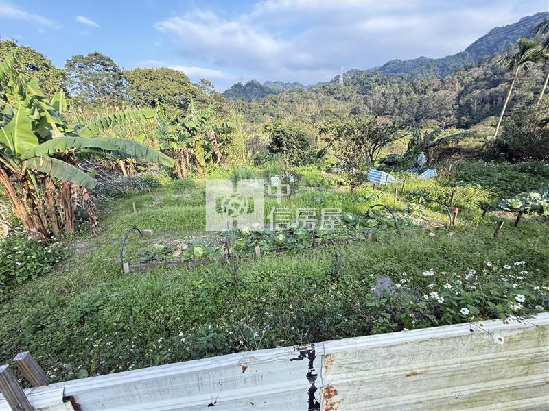近大溪三層福安宮農地-2房屋室內格局與周邊環境