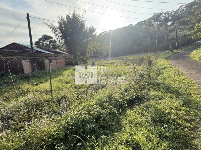 近大溪三層福安宮農地-1