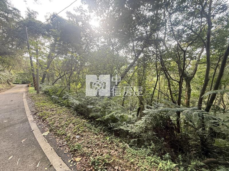 大溪信義段便宜山坡保育林地房屋室內格局與周邊環境