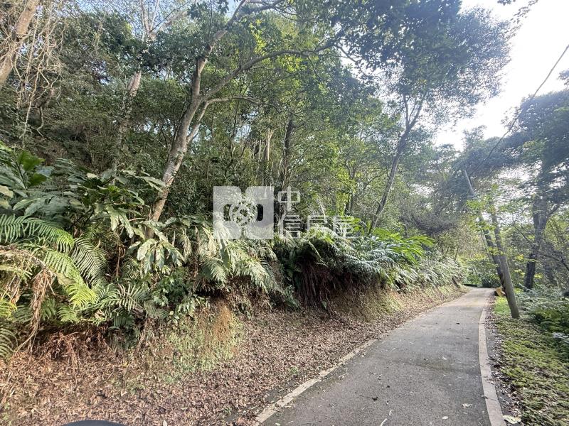 大溪信義段便宜山坡保育林地房屋室內格局與周邊環境