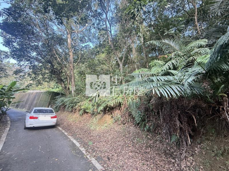 大溪信義段便宜山坡保育林地房屋室內格局與周邊環境