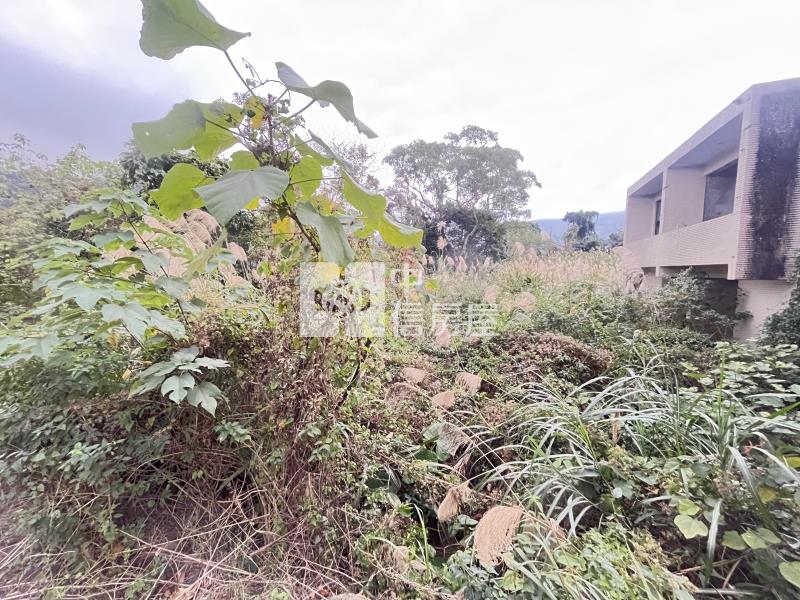 南庄四灣56坪丙建32坪透天房屋室內格局與周邊環境