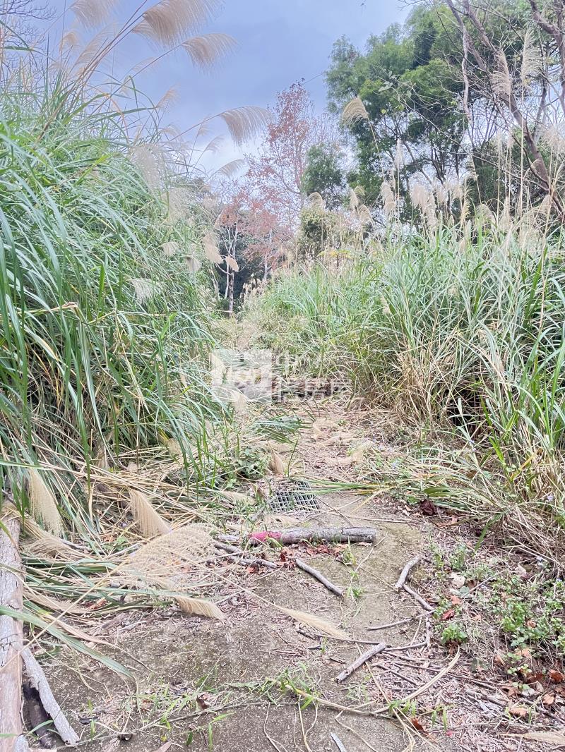 南庄四灣56坪丙建32坪透天房屋室內格局與周邊環境