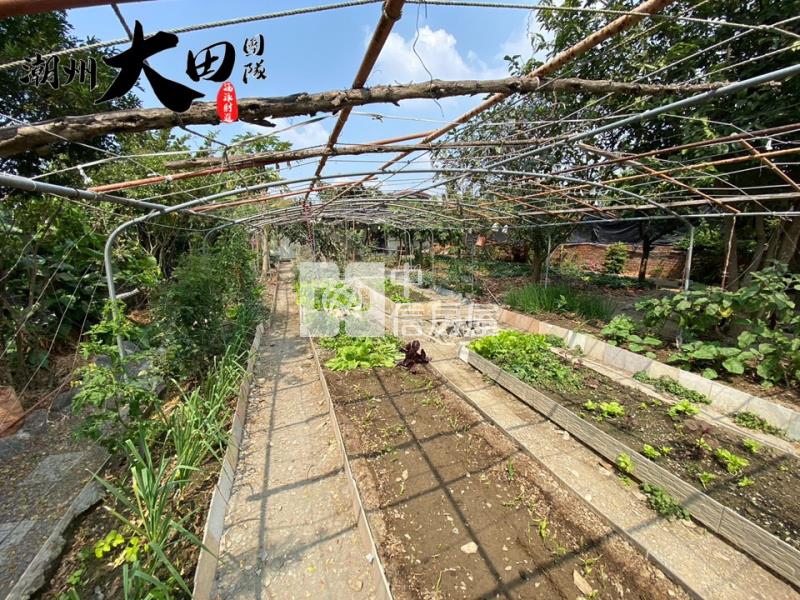 潮州面寬合法農舍房屋室內格局與周邊環境