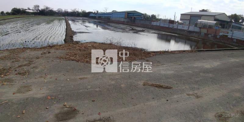 嘉義新港都計內美農地房屋室內格局與周邊環境