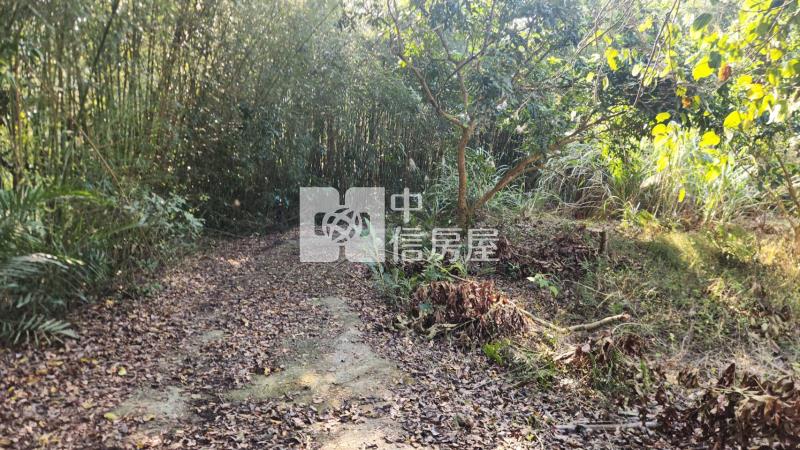 苗栗銅鑼鄉林地房屋室內格局與周邊環境