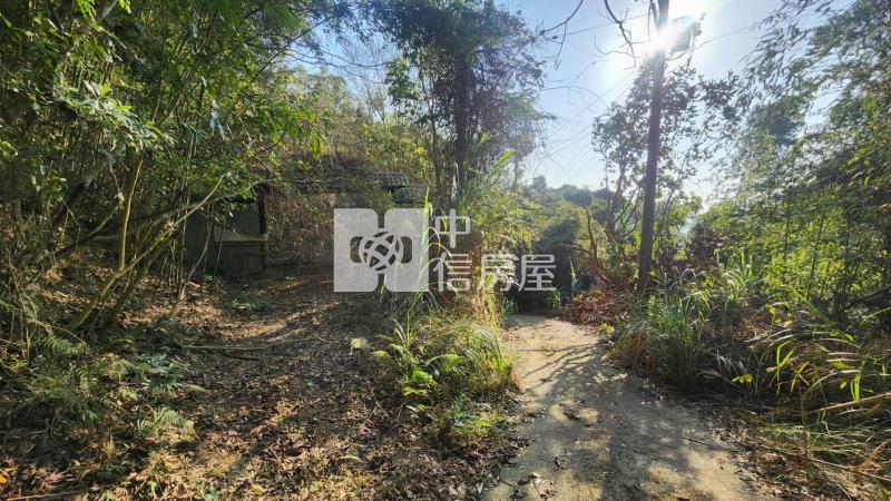 苗栗銅鑼鄉林地房屋室內格局與周邊環境