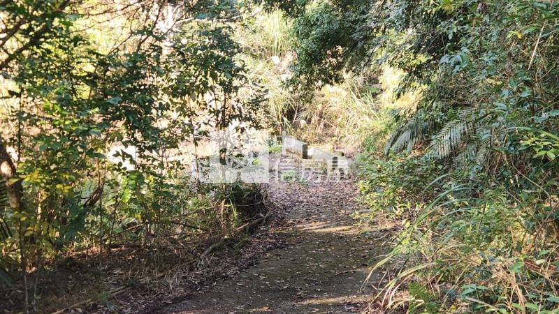 苗栗銅鑼鄉林地房屋室內格局與周邊環境