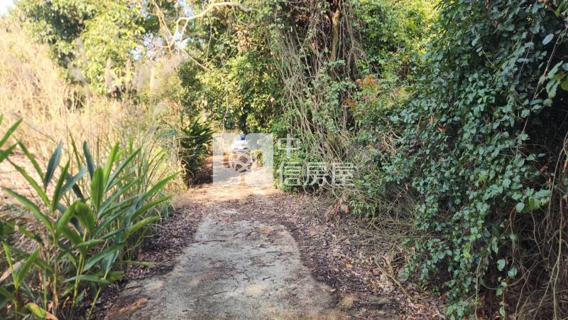 苗栗銅鑼鄉林地房屋室內格局與周邊環境