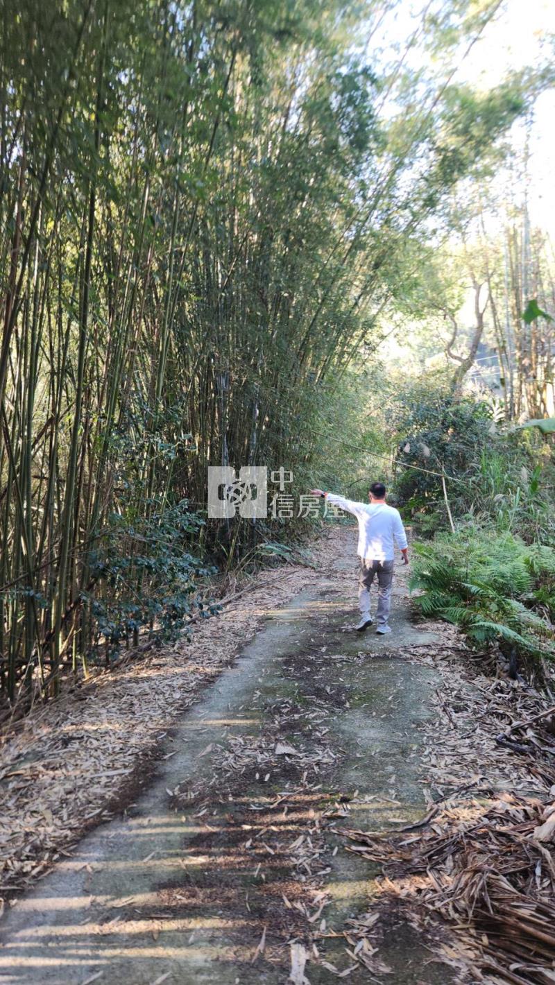 苗栗銅鑼鄉林地房屋室內格局與周邊環境