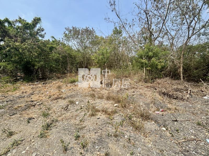 屏東土地《新埤10米路低總價農地》房屋室內格局與周邊環境