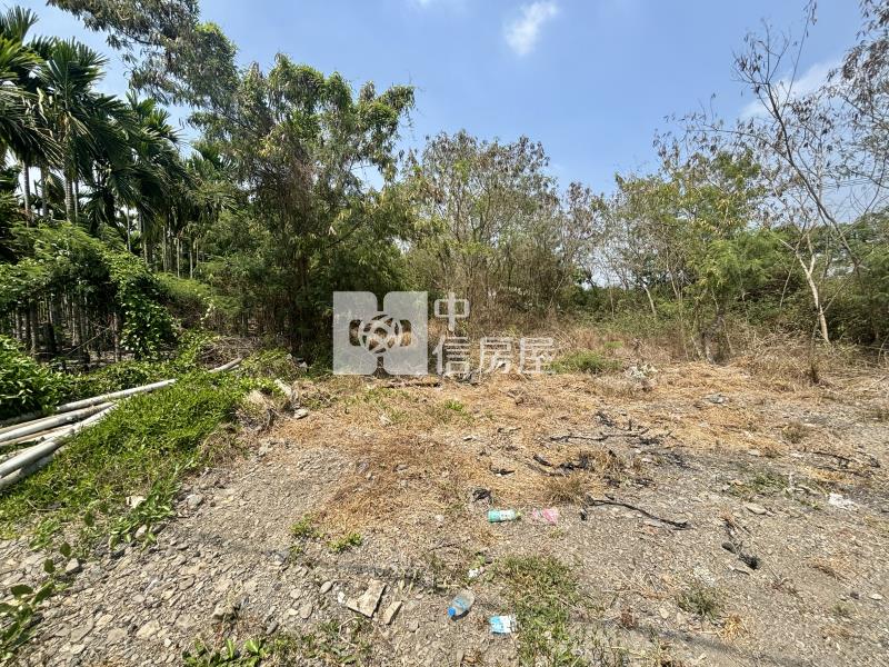 屏東土地《新埤10米路低總價農地》房屋室內格局與周邊環境