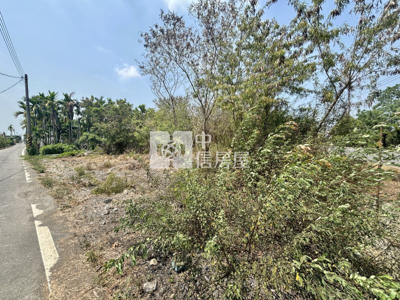 屏東土地《新埤10米路低總價農地》房屋室內格局與周邊環境