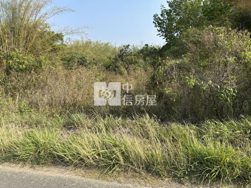 大內南寶球場前百米面寬美農地房屋室內格局與周邊環境