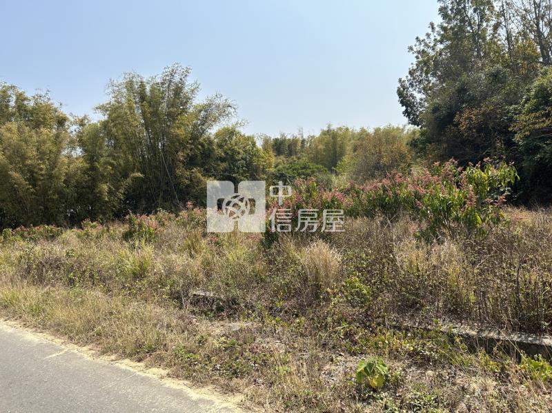 大內南寶球場前百米面寬美農地房屋室內格局與周邊環境