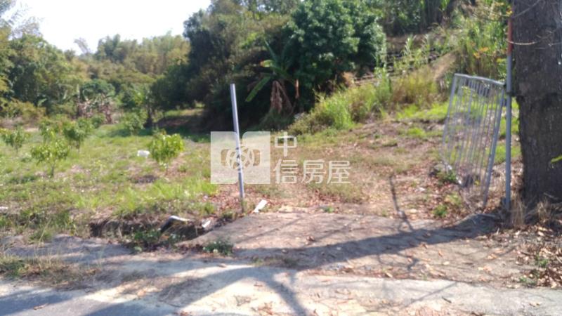 大內南寶球場前百米面寬美農地房屋室內格局與周邊環境