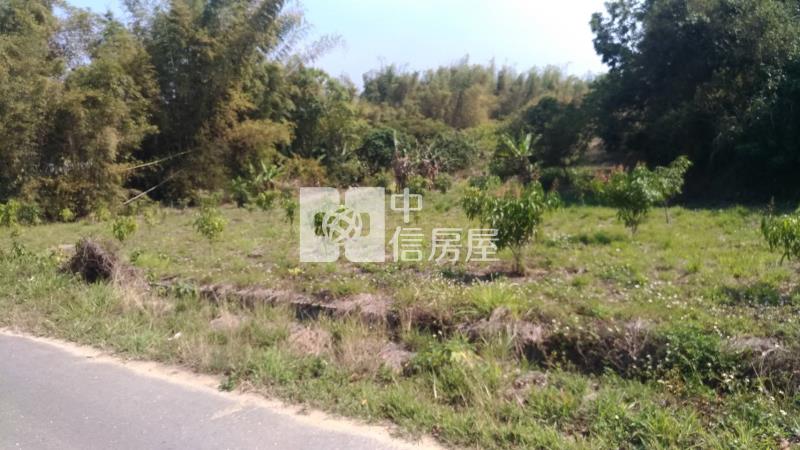 大內南寶球場前百米面寬美農地房屋室內格局與周邊環境