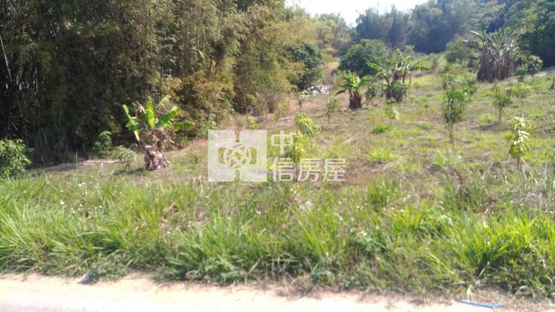 大內南寶球場前百米面寬美農地房屋室內格局與周邊環境