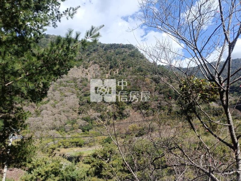 楓林山莊房屋室內格局與周邊環境